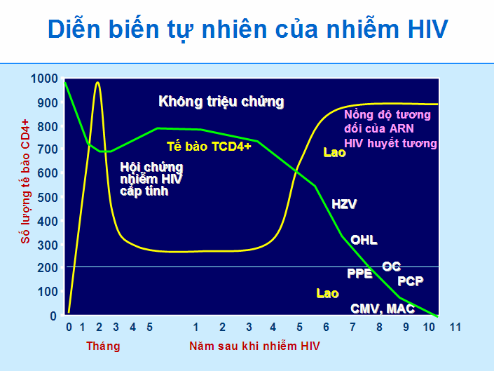 Hiv sống được bao lâu 2