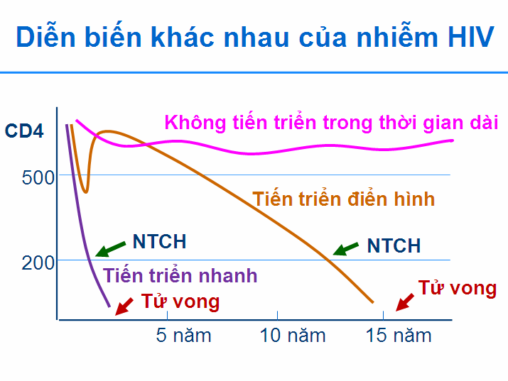 Hiv sống được bao lâu