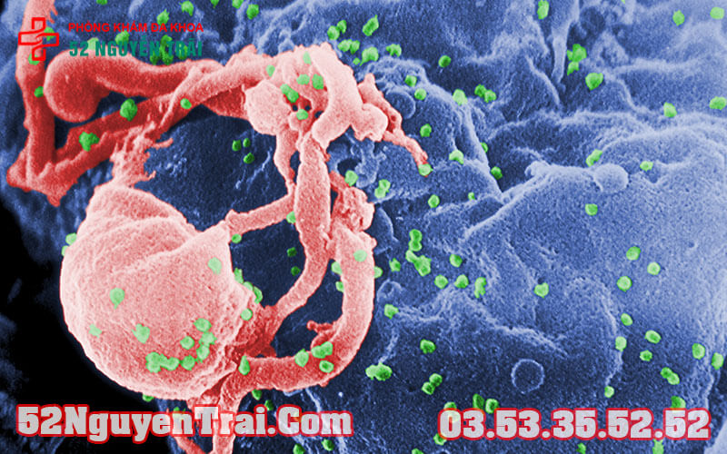 HIV: Nguyên nhân, triệu chứng, chẩn đoán và điều trị