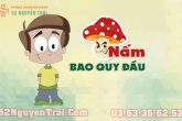 Nấm bao quy đầu