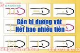 Gắn bi dương vật hết bao nhiêu tiền