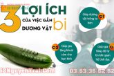 Tư vấn địa chỉ gắn bi dương vật ở hà nội uy tín, chất lượng