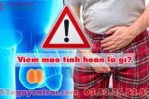 Viêm mào tinh hoàn là gì?