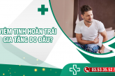 Viêm tinh hoàn trái